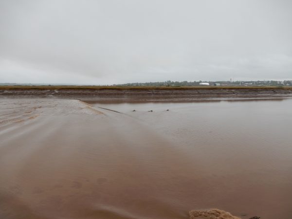 Tidal Bore Moncton New Brunswick