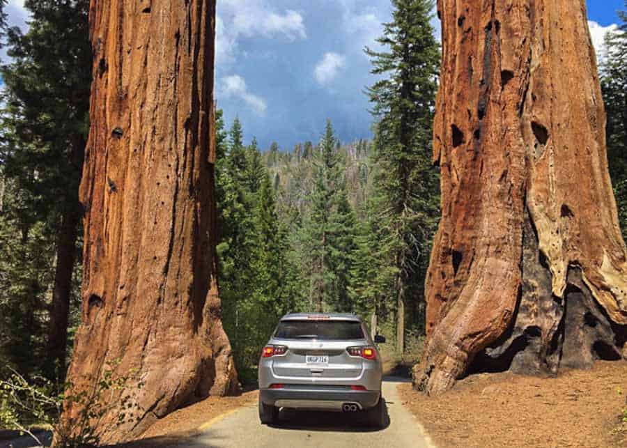 Driving in Sequoia National Park