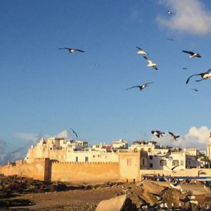 taking Day trip from Marrakech to Essaouira, Morocco