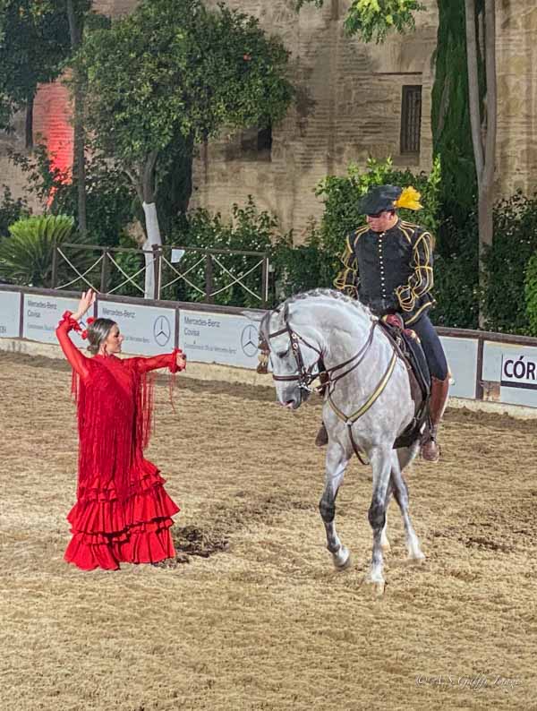 Equestrian show at the Royal Stables in Cordoba, Spain