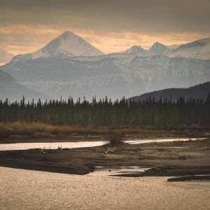 14 Best Hikes in Jasper National Park - Alberta Canada